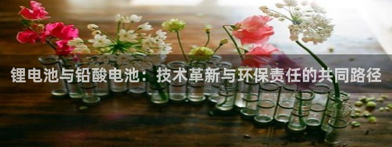 TP钱包被盗怎么修复