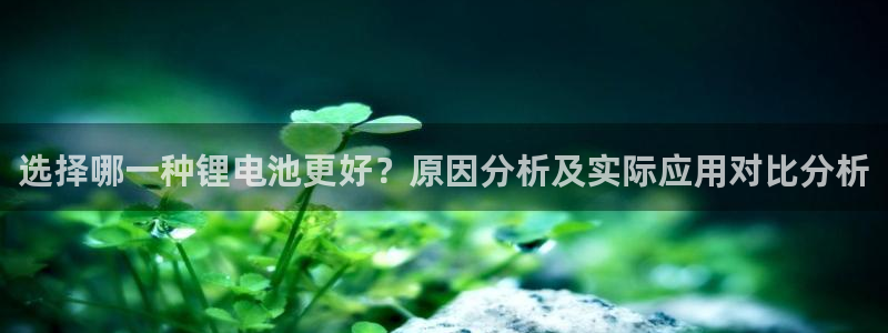 tp钱包怎样启用谷歌验证
