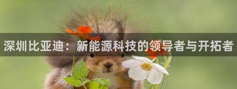 tp钱包如何挖矿