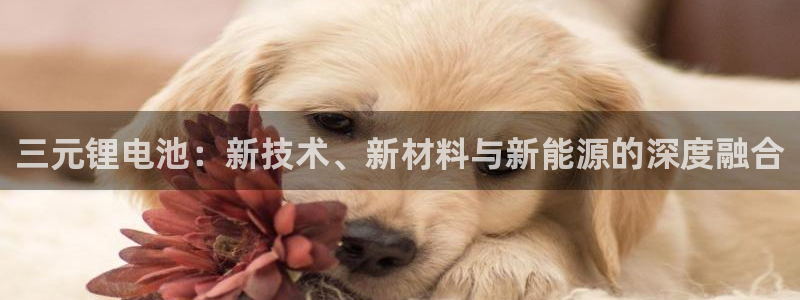 tp钱包怎么更改密码