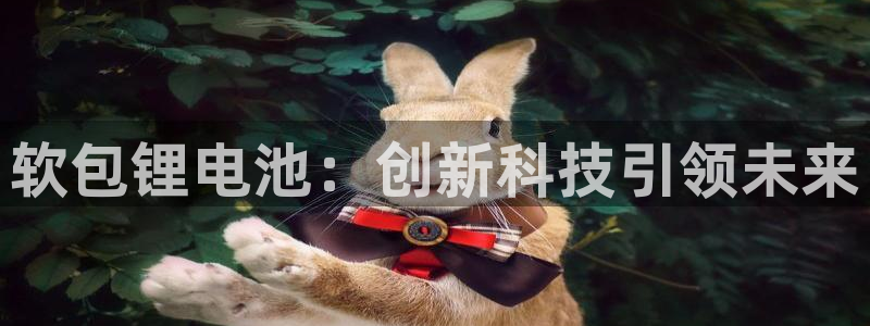 tp钱包买usdt链接