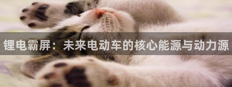 tp钱包介绍