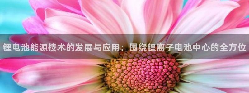 tp钱包pro：锂电池能源技术的发展与应用：围绕锂离子电池中心的全方位