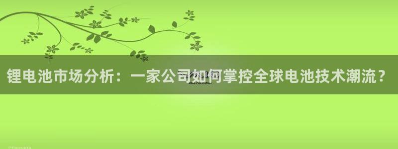 tp钱包卖出：锂电池市场分析：一家公司如何掌控全球电池技术潮流？