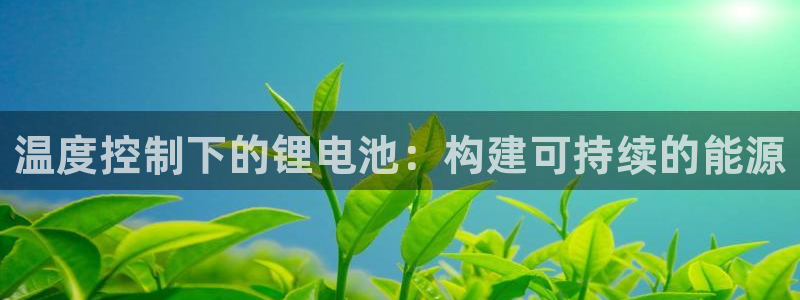 TP钱包钱包官网最新版本下载：温度控制下的锂电池：构建可持续的能源