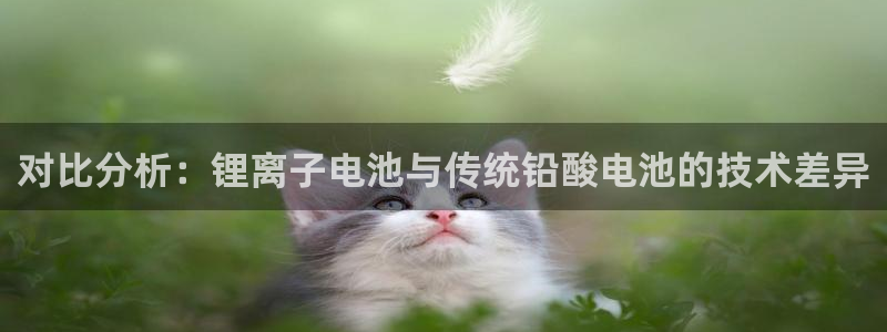 苹果安装tp钱包：对比分析：锂离子电池与传统铅酸电池的技术差异