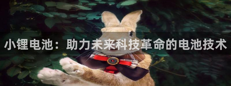 tp钱包怎么换节点：小锂电池：助力未来科技革命的电池技术
