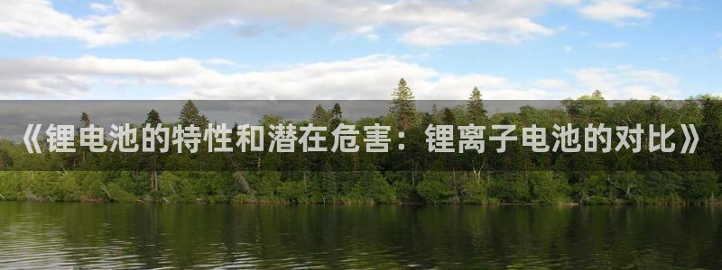 TP钱包app没办法使用：《锂电池的特性和潜在危害：锂离子电池的对比》