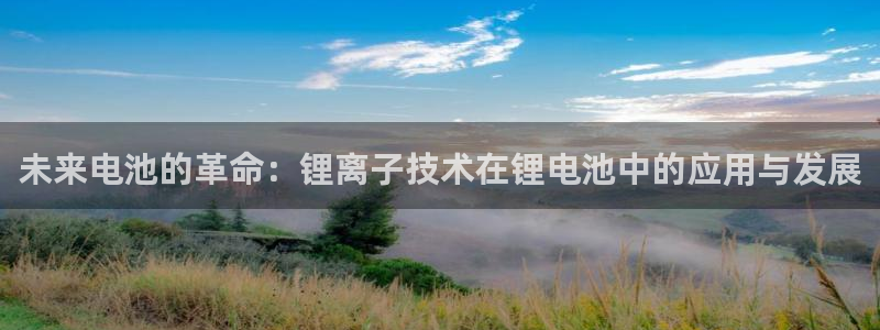 tp钱包官方网站下载：未来电池的革命：锂离子技术在锂电池中的应用与发展