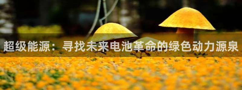 TP钱包跑路了吗：超级能源：寻找未来电池革命的绿色动力源泉