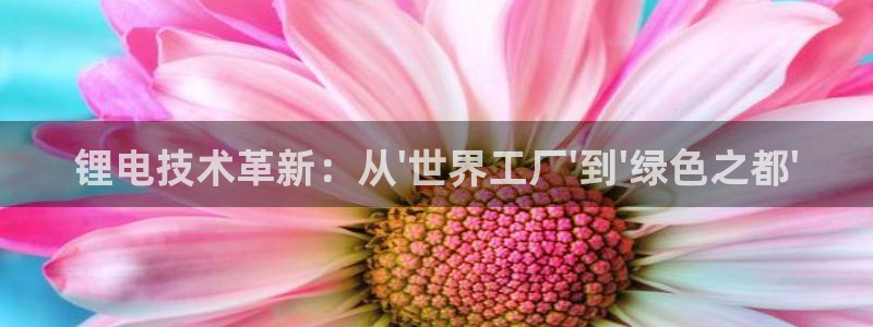 tp观察钱包有什么用吗：锂电技术革新：从\'世界工厂\'到\'绿色之都\'