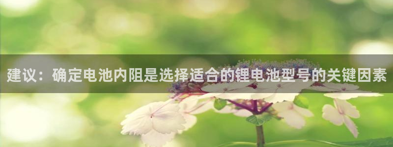 tp钱包u被转走了,怎么处理：建议：确定电池内阻是选择适合的锂电池型号的关键因素