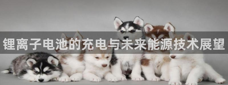 tp钱包APP官方免费下载：锂离子电池的充电与未来能源技术展望