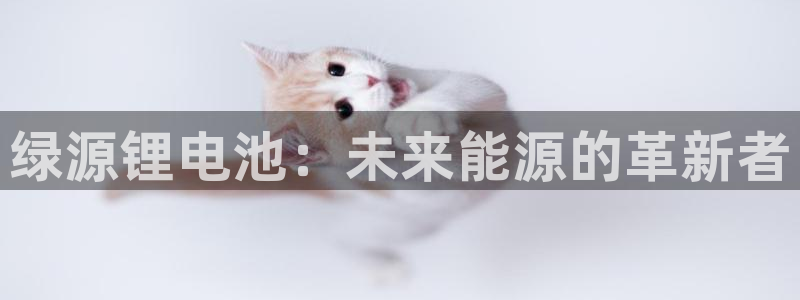 TokenPocketPro钱包：绿源锂电池：未来能源的革新者