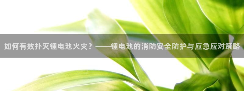 tp钱包怎么查看资产：如何有效扑灭锂电池火灾？——锂电池的消防安全防护与应急应对策略