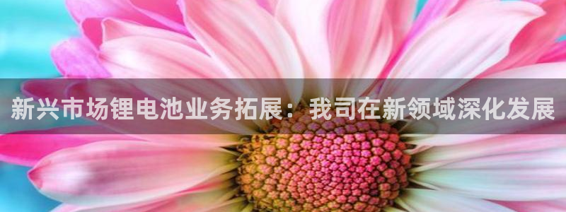tp钱包币被转走能找回吗安全吗：新兴市场锂电池业务拓展：我司在新领域深化发展