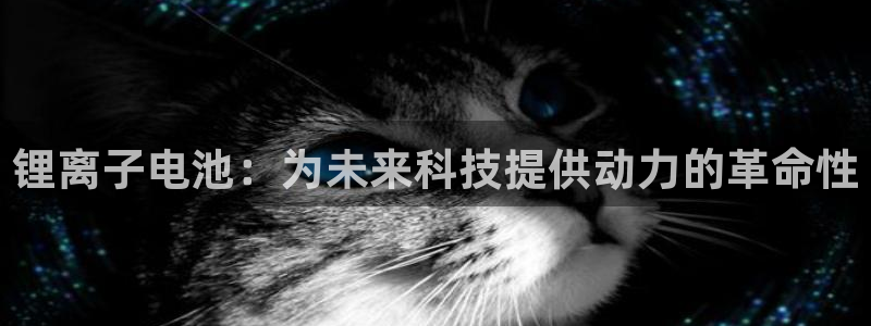 tp钱包签名怎么操作：锂离子电池：为未来科技提供动力的革命性