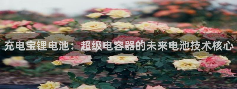 tp钱包客服怎么找人工服务：充电宝锂电池：超级电容器的未来电池技术核心