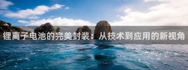 tpt数字钱包：锂离子电池的完美封装：从技术到应用的新视角