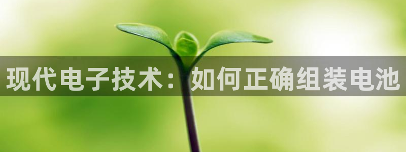 tp钱包兑换币：现代电子技术：如何正确组装电池
