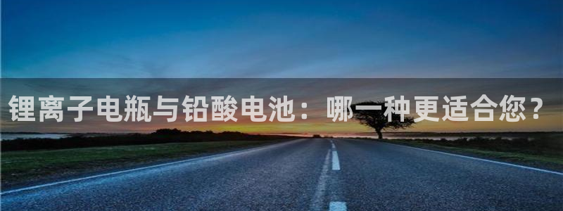 tp钱包怎么兑换币：锂离子电瓶与铅酸电池：哪一种更适合您？