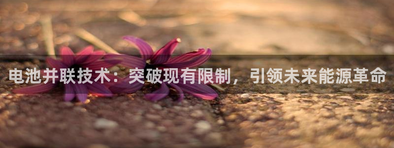 tp官方下载安卓最新版本2025：电池并联技术：突破现有限制，引领未来能源革命