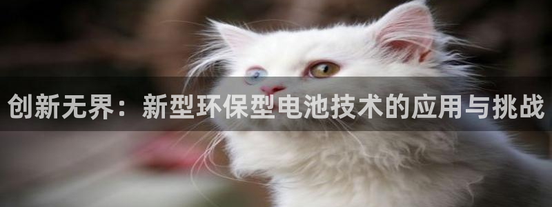 tp钱包有啥用：创新无界：新型环保型电池技术的应用与挑战