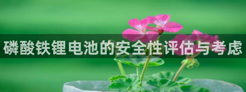 tp钱包里的币怎么变现：磷酸铁锂电池的安全性评估与考虑
