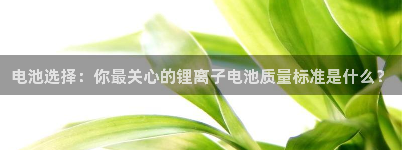 tp钱包下载打不开网页：电池选择：你最关心的锂离子电池质量标准是什么？