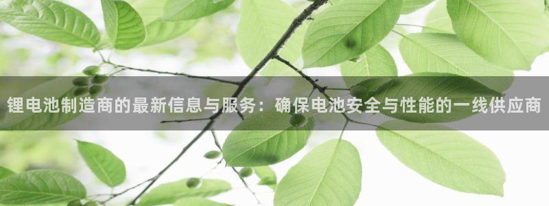 tp钱包不小心卸载了怎么恢复资产：锂电池制造商的最新信息与服务：确保电池安全与性能的一线供应商