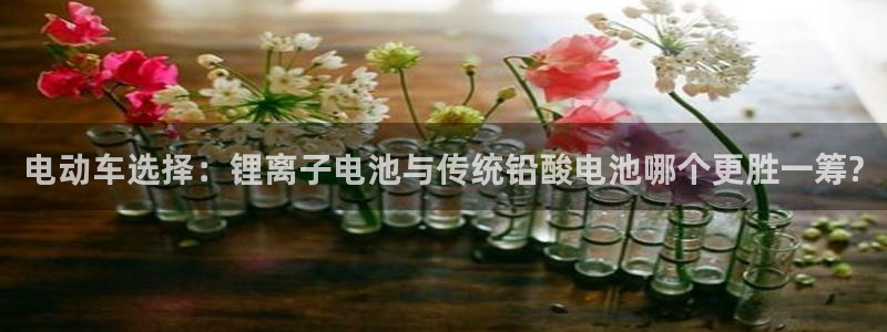 tp钱包可以给usdt钱包转账吗安全吗：电动车选择：锂离子电池与传统铅酸电池哪个更胜一筹?