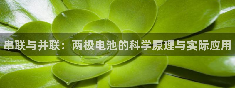 tp钱包bsc链怎么变现：串联与并联：两极电池的科学原理与实际应用