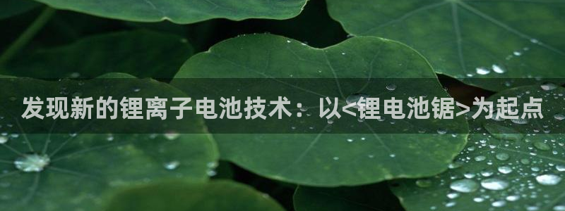 tptp下载taptap：发现新的锂离子电池技术：以<锂电池锯>为起点