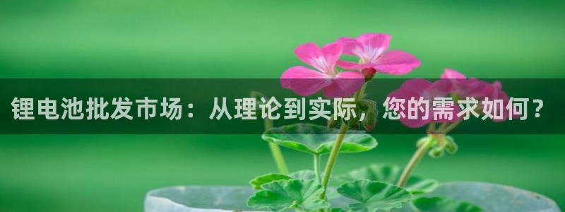 tp钱包怎么用薄饼：锂电池批发市场：从理论到实际，您的需求如何？