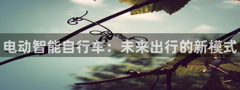 tp钱包aPP手机号在哪里找：电动智能自行车：未来出行的新模式