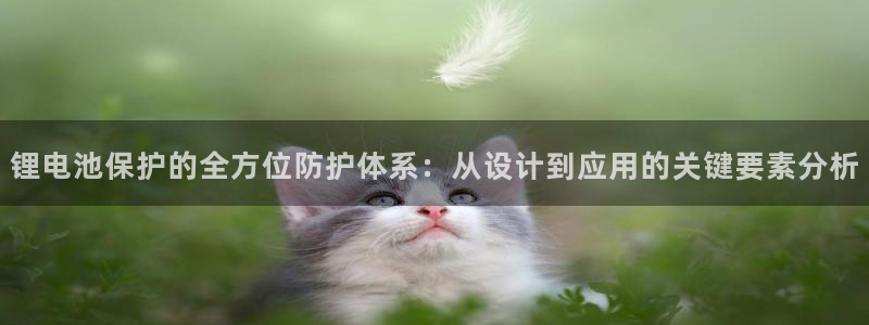 tp钱包怎么添加sol链：锂电池保护的全方位防护体系：从设计到应用的关键要素分析