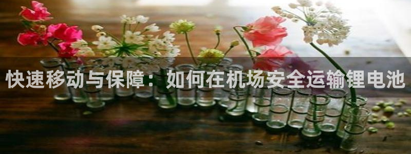 tp钱包如何转出usdt到Vcard：快速移动与保障：如何在机场安全运输锂电池