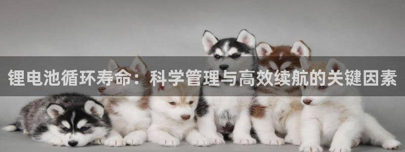 tp钱包有什么用途：锂电池循环寿命：科学管理与高效续航的关键因素